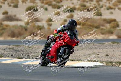 media/Apr-10-2022-SoCal Trackdays (Sun) [[f104b12566]]/Turn 5 Tree of Life (1040am)/